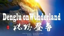 疯狂的小猫